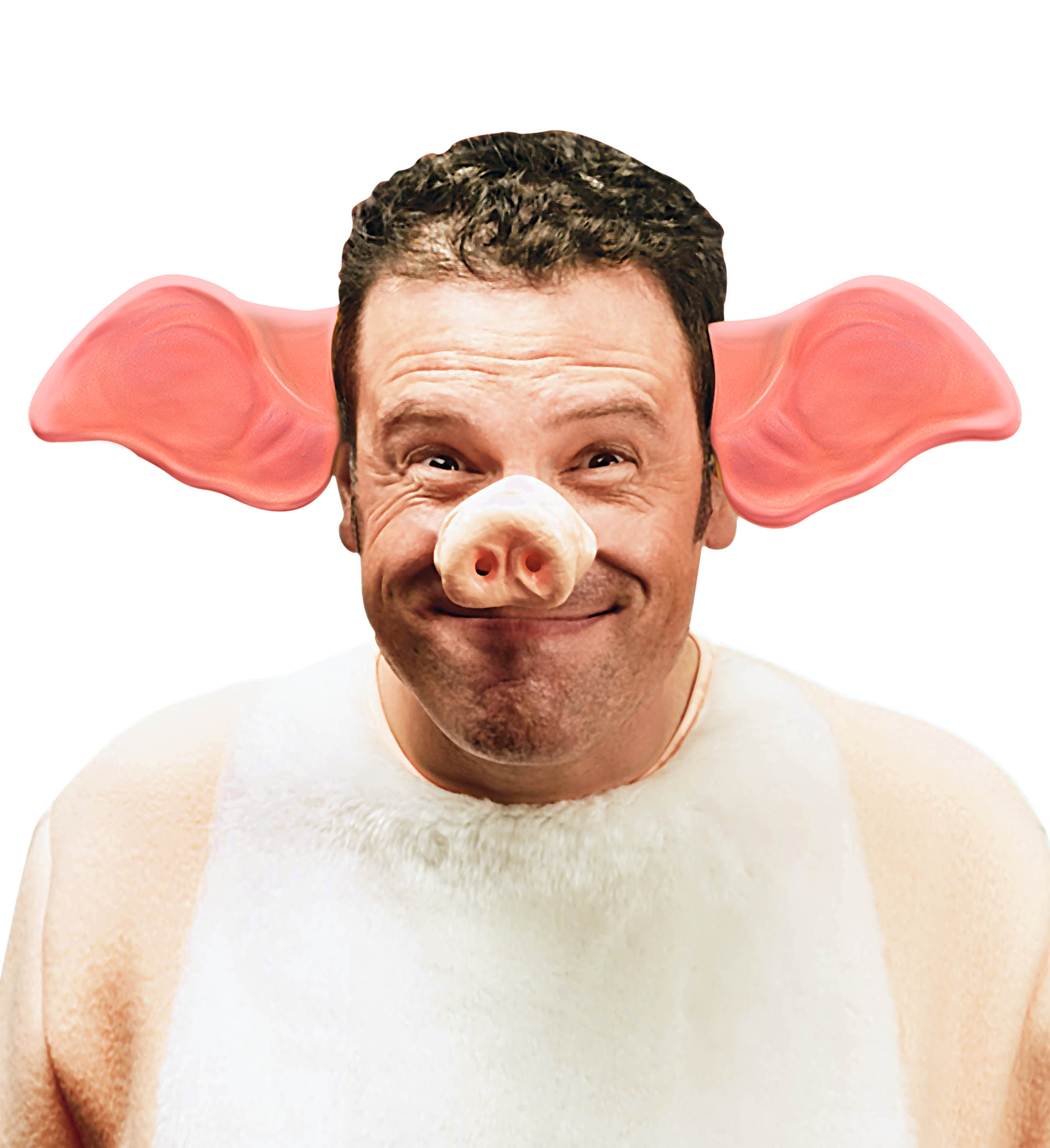 Pig ears