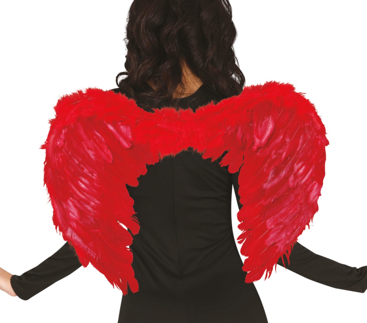 Wings, red, feather