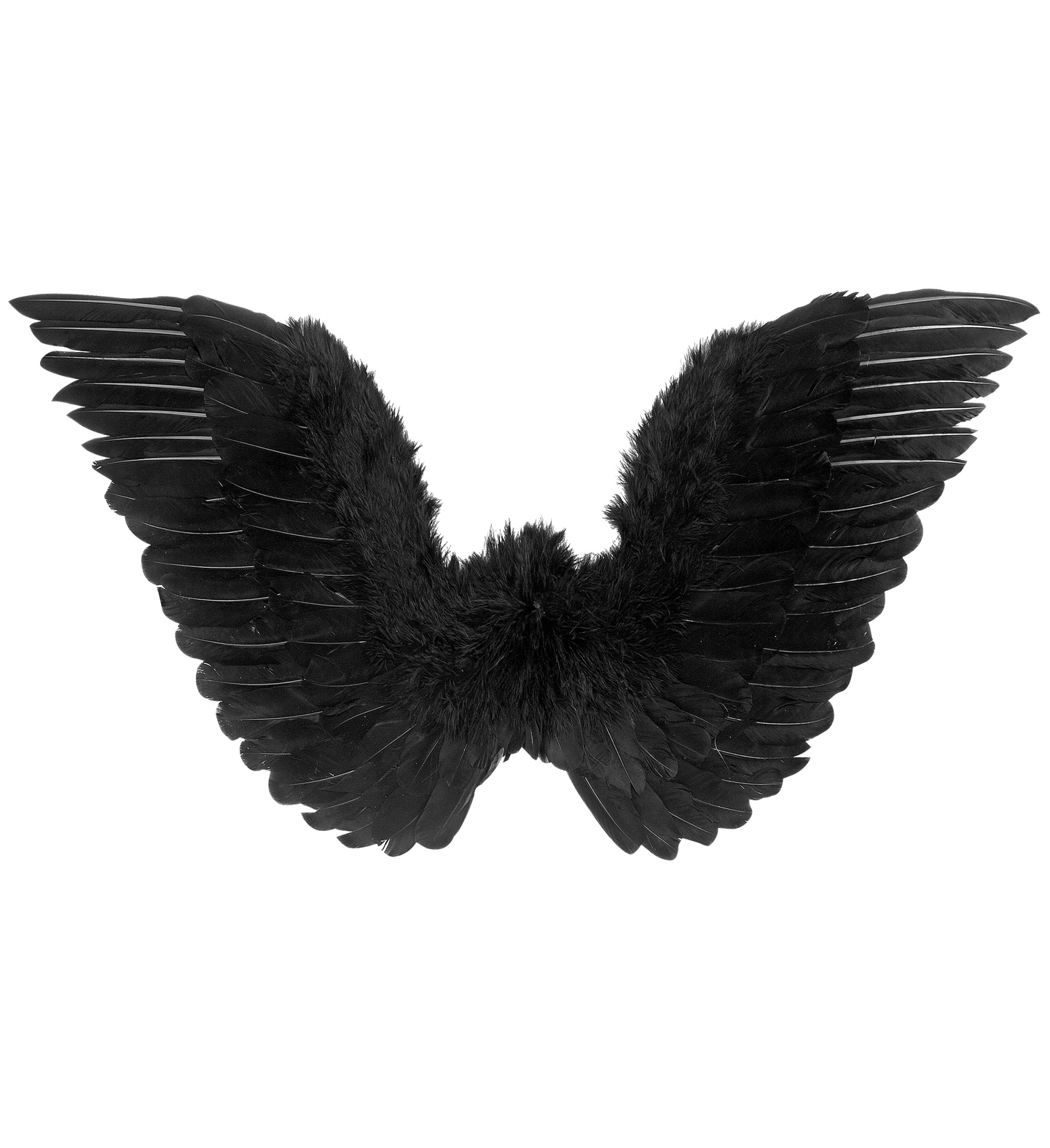 Wings, feather, black, 78x36cm