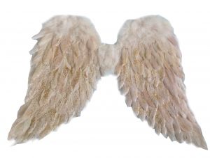 Angel wings, feather, old pink