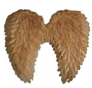 Angel wings, feather, beige