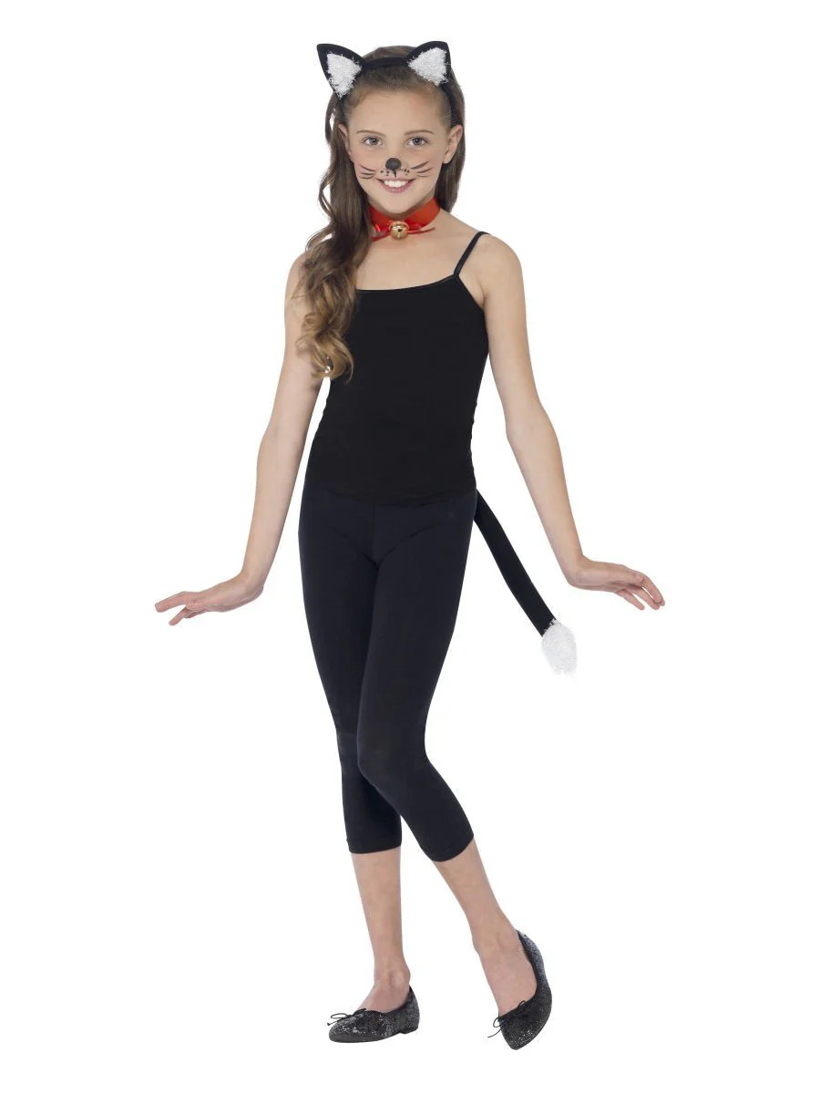 Kassi komplekt
