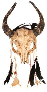 Mask kolju sarvedega