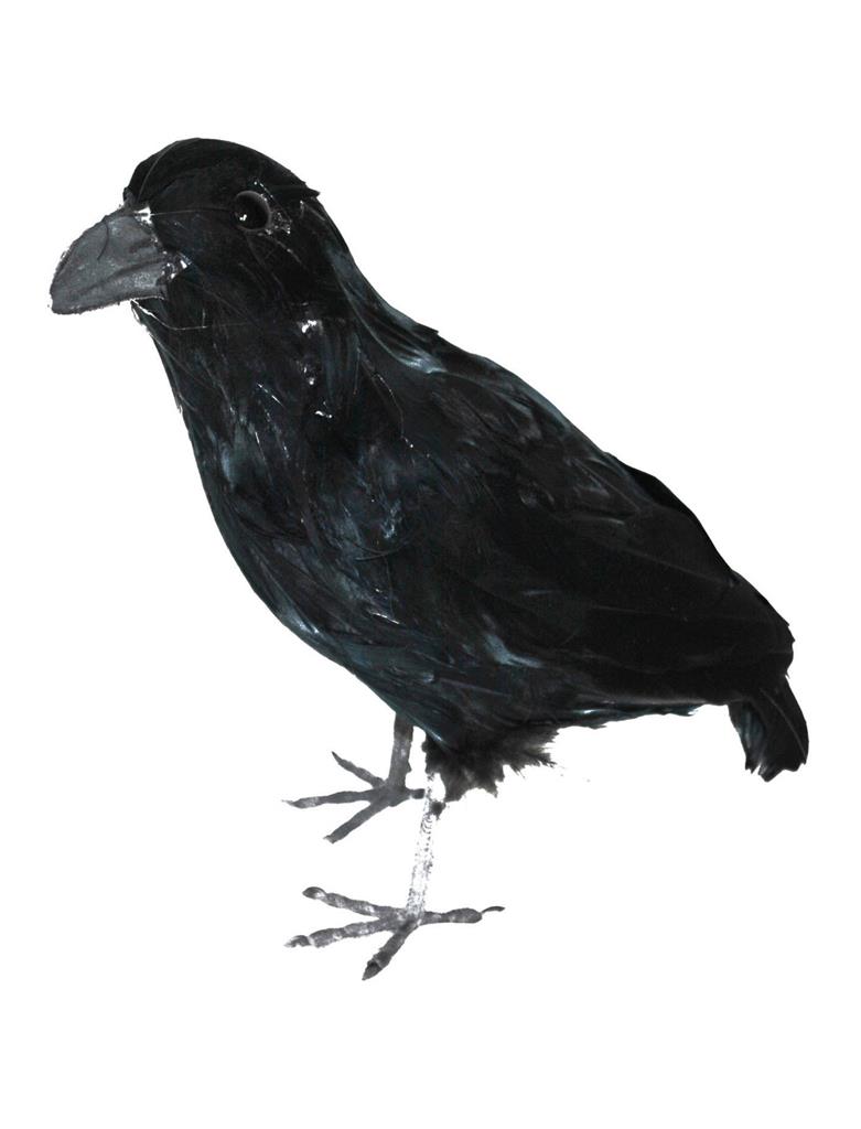 Vares, dekoratsioon